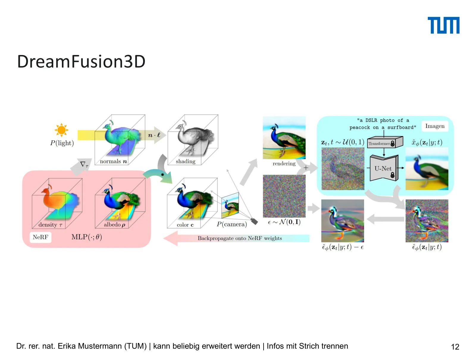 Slide 12